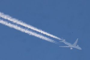 F-HUVC